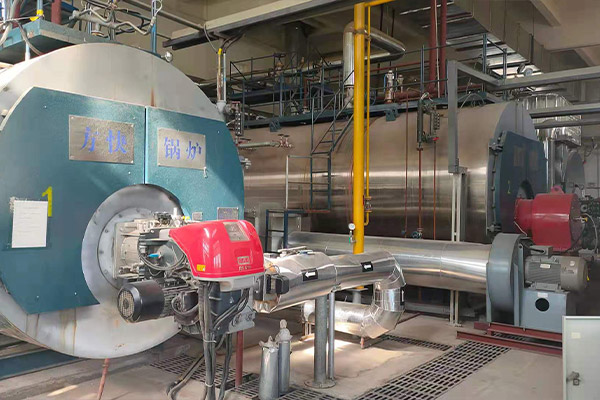 陜西咸陽一水泥廠用10噸低氮燃氣蒸汽鍋爐項目